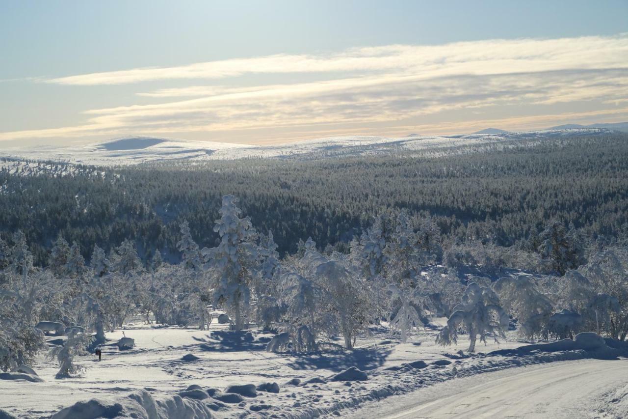 Polaris Homes For You Rovaniemi Extérieur photo